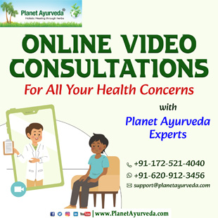 Online Ayurveda Video Consultation with Planet Ayurveda Experts