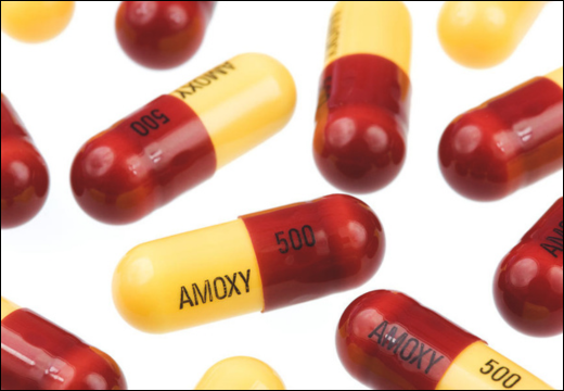 Amoxicillin 500 Amoxicillin 500